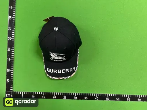 __qc_other__ d:2026-06-01