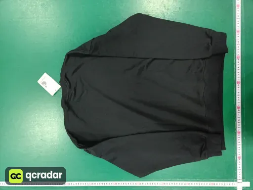 __qc_other__ d:2026-01-27