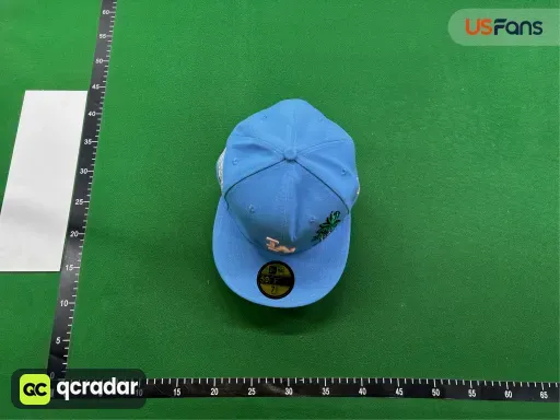 __qc_other__ d:2026-06-05