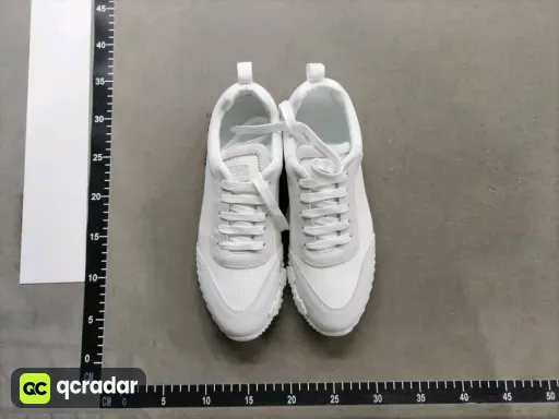 __qc_other__ d:2026-03-19