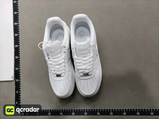 __qc_other__ d:2026-01-28