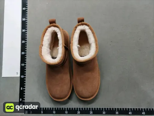 __qc_other__ d:2026-01-20