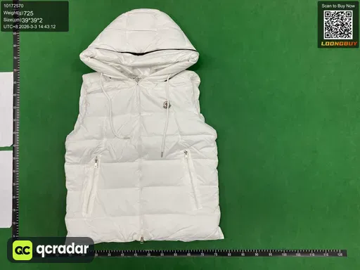 __qc_other__ d:2026-03-03