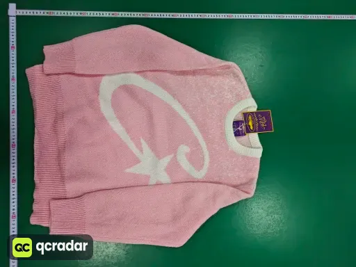 __qc_other__ d:2026-03-19