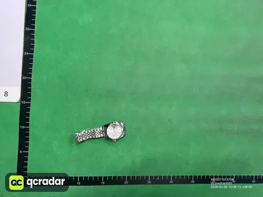 __qc_other__ d:2026-03-20