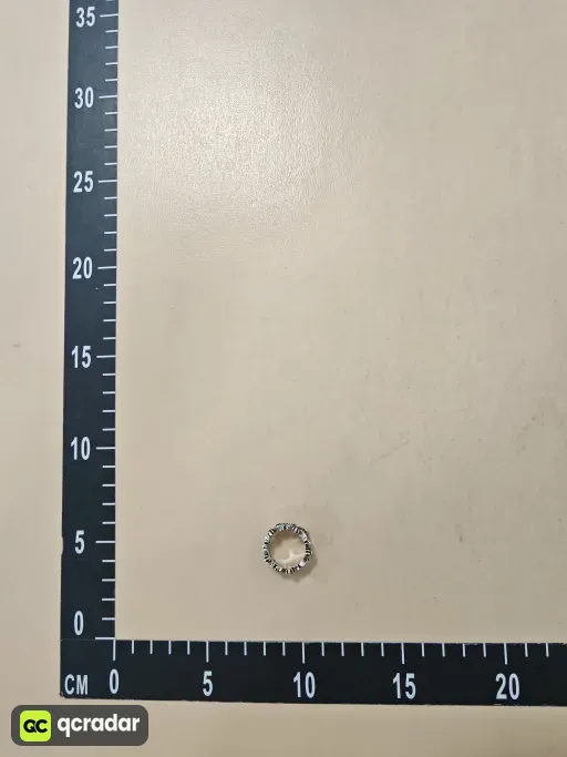 __qc_other__ d:2026-08-30