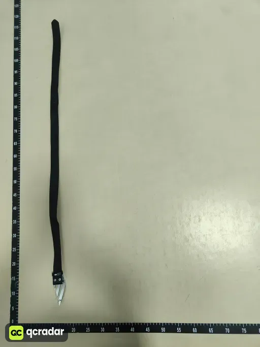 __qc_other__ d:2026-09-15