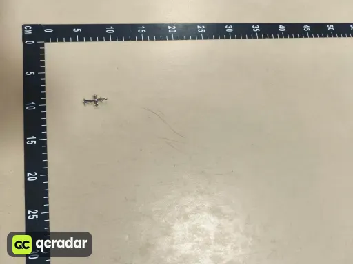 __qc_other__ d:2026-10-18