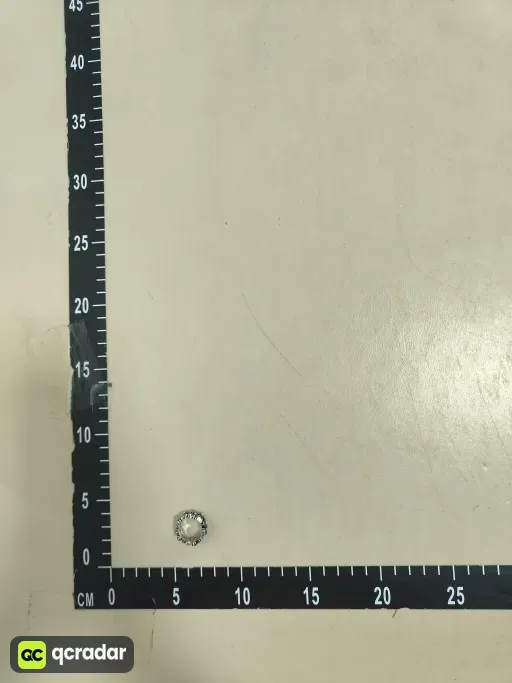 __qc_other__ d:2026-09-29
