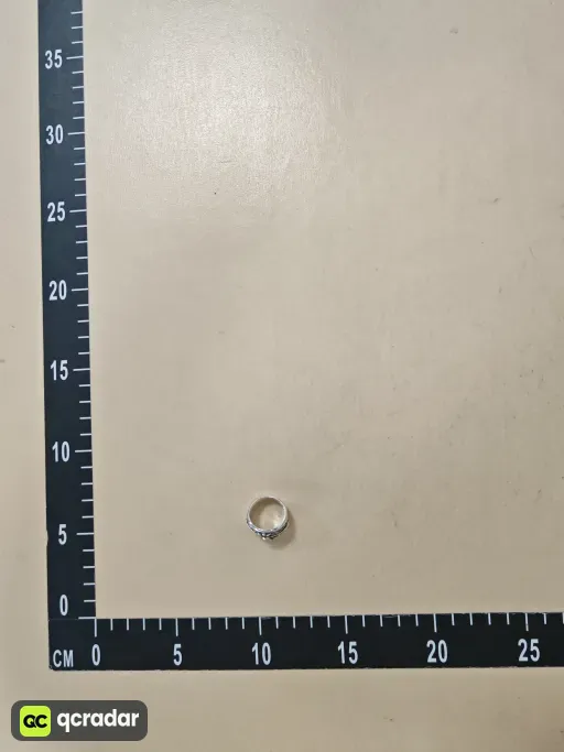 __qc_other__ d:2026-09-05