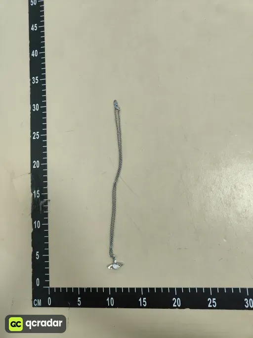 __qc_other__ d:2026-09-05