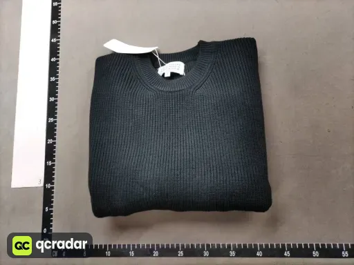 __qc_other__ d:2026-01-31