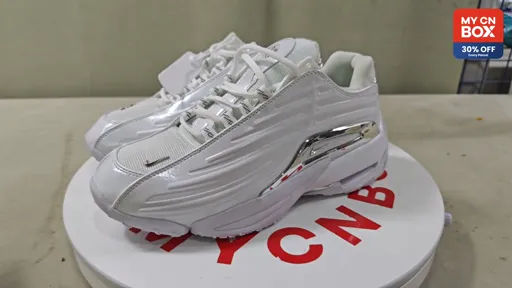 Silver White DZ7293-100