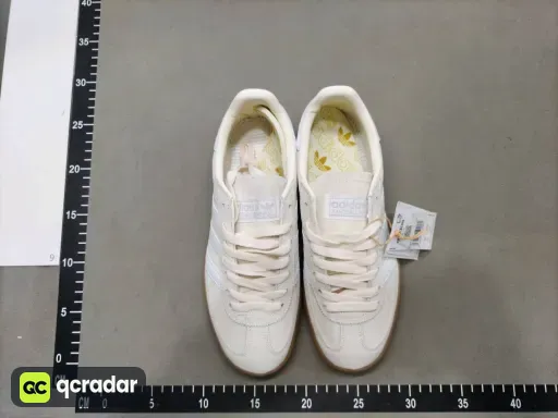 __qc_other__ d:2026-06-21