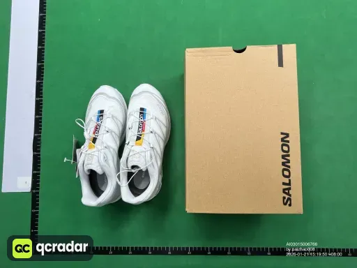 __qc_other__ d:2026-01-21