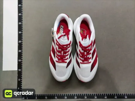 __qc_other__ d:2026-03-02