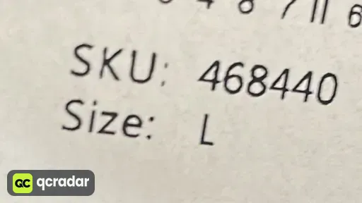 SV六代 虎鲸
