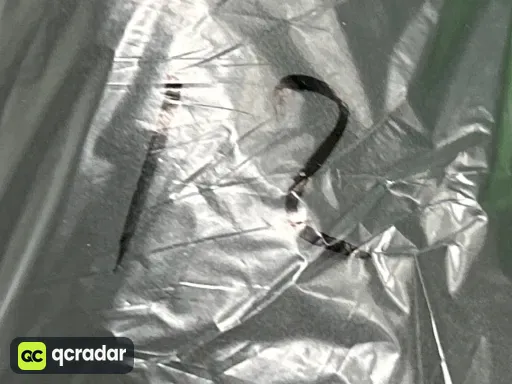 尺码:12【47】