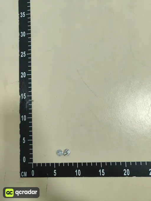__qc_other__ d:2026-09-10
