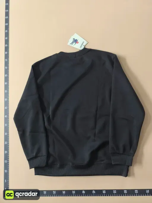 __qc_other__ d:2026-05-01