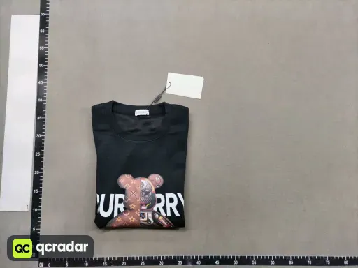 __qc_other__ d:2026-01-23