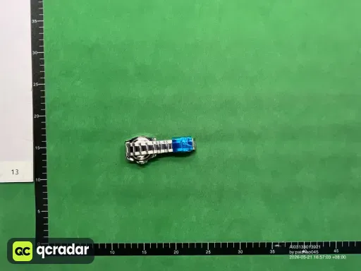 __qc_other__ d:2026-05-21