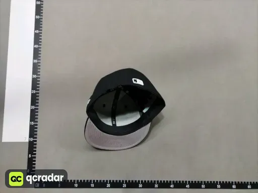 __qc_other__ d:2026-06-01