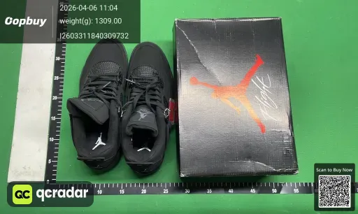 __qc_other__ d:2026-04-10