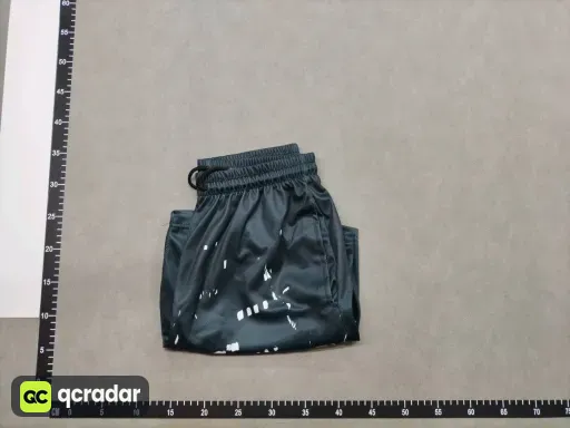__qc_other__ d:2026-04-02