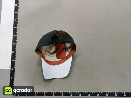 __qc_other__ d:2026-01-21