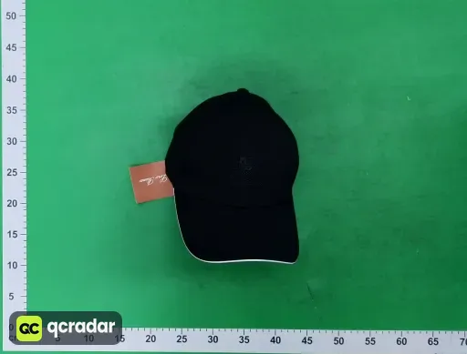 __qc_other__ d:2026-05-31