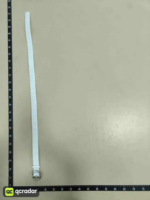 __qc_other__ d:2026-08-11