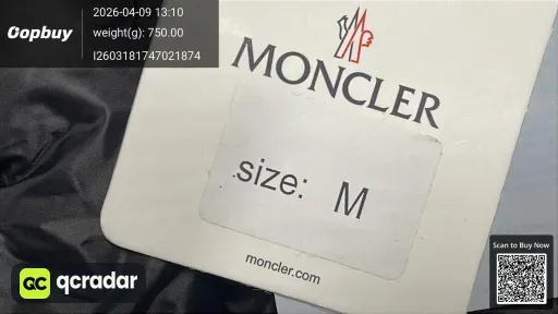 __qc_other__ d:2026-04-09