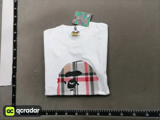 __qc_other__ d:2026-03-24