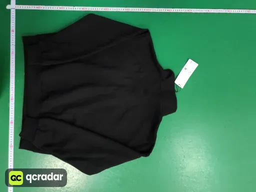 __qc_other__ d:2026-03-19