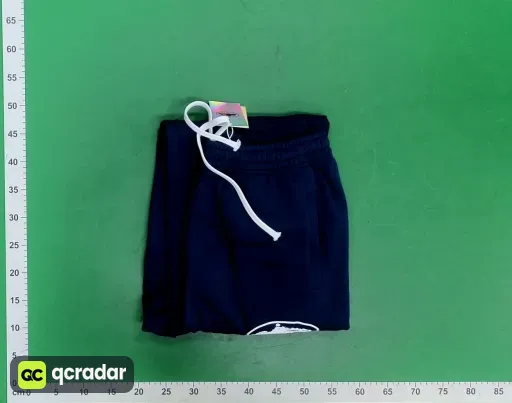 __qc_other__ d:2026-04-21