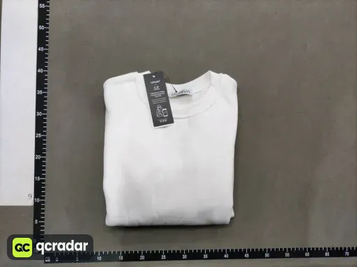 __qc_other__ d:2026-04-29