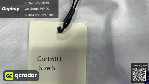 __qc_other__ d:2026-05-19