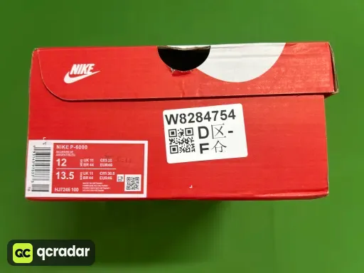 型号:P-6000 (6)