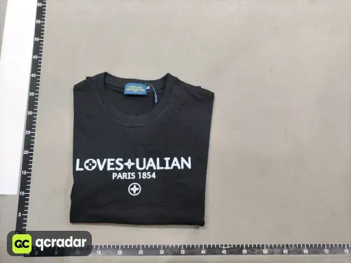 __qc_other__ d:2026-06-13