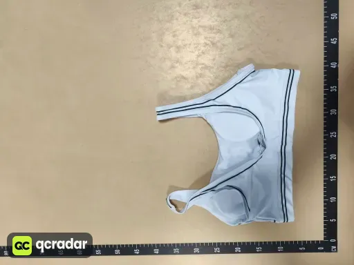 __qc_other__ d:2026-10-03