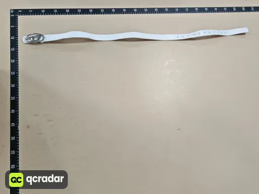 __qc_other__ d:2026-08-24