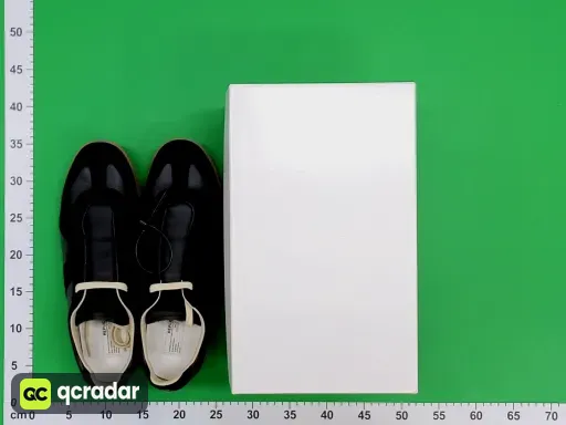 __qc_other__ d:2026-08-29
