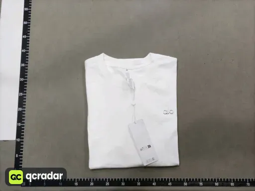 __qc_other__ d:2026-06-06