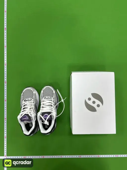 8号银紫S70739-10