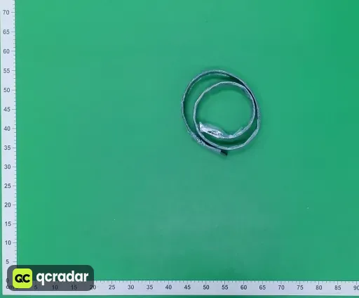 __qc_other__ d:2026-08-31