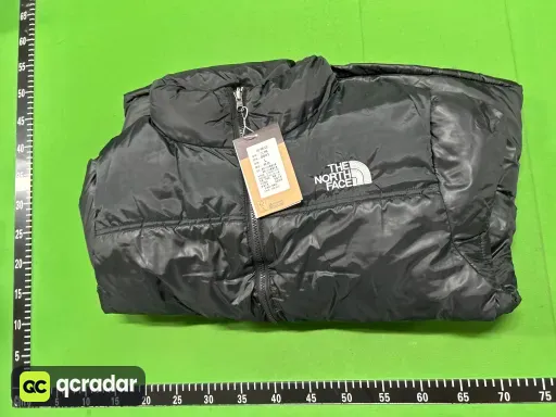 TNF01