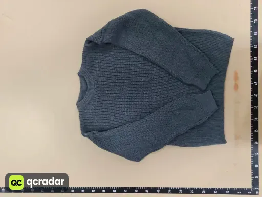 __qc_other__ d:2026-09-19