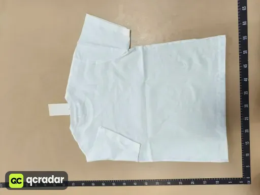 __qc_other__ d:2026-07-29