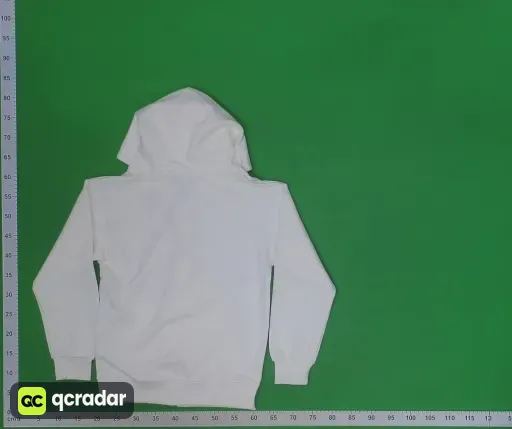 __qc_other__ d:2026-10-02
